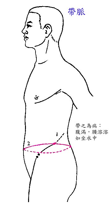 腹部带脉经络图图片